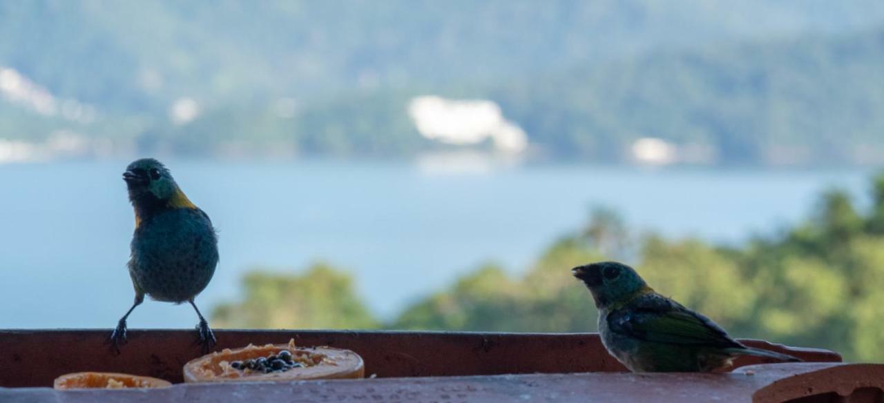 Ore Suites E Chales Ubatuba Exterior foto